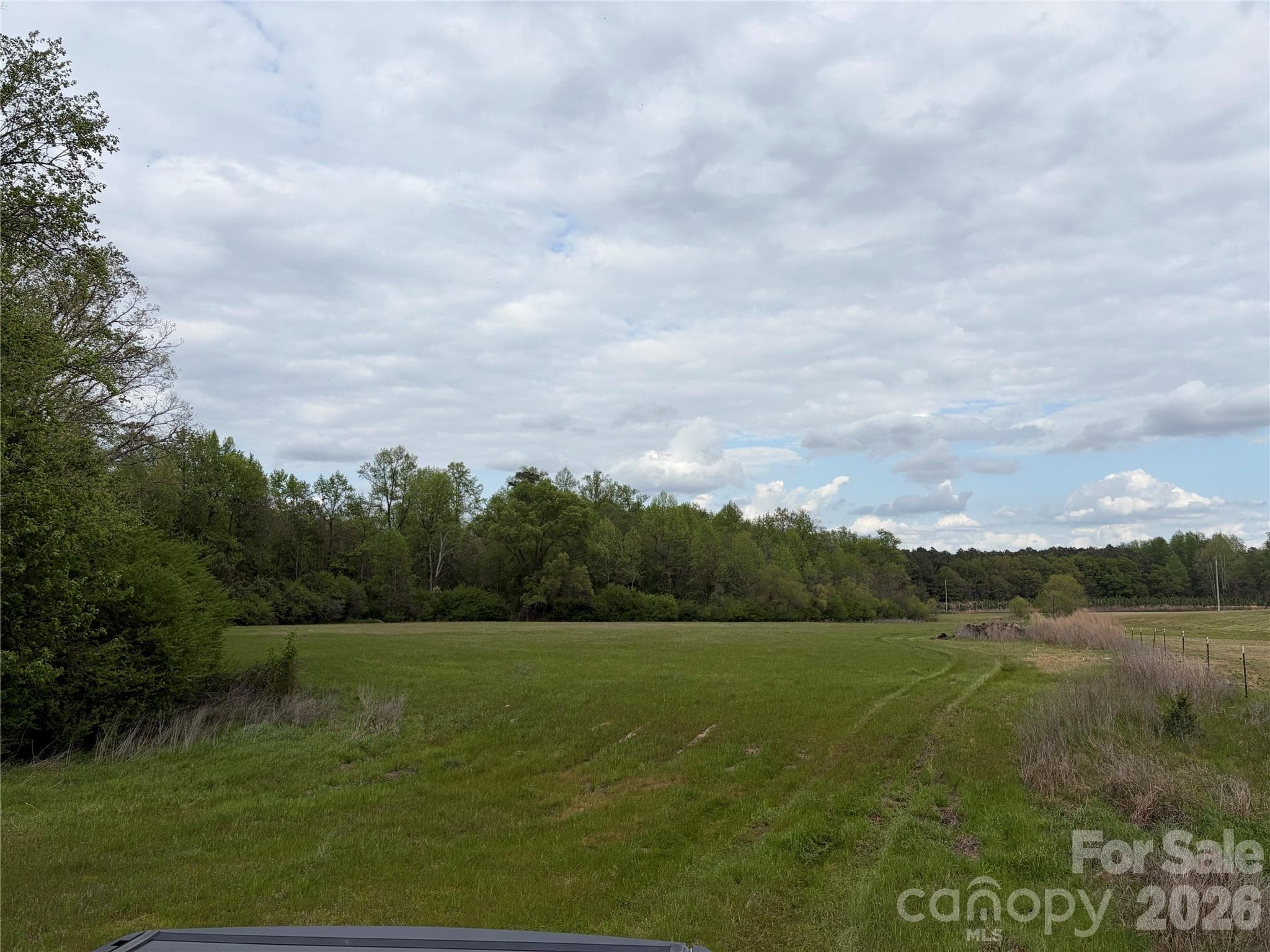 Acreage at 00 Robinson Bridge Road, Morven, photo 8 of 10