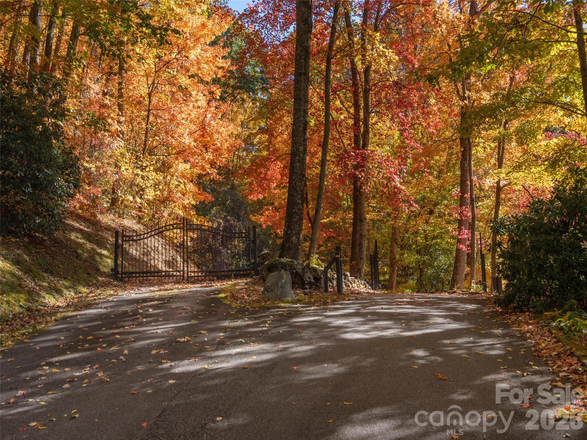 Lot at Waynesville, photo 19 of 28