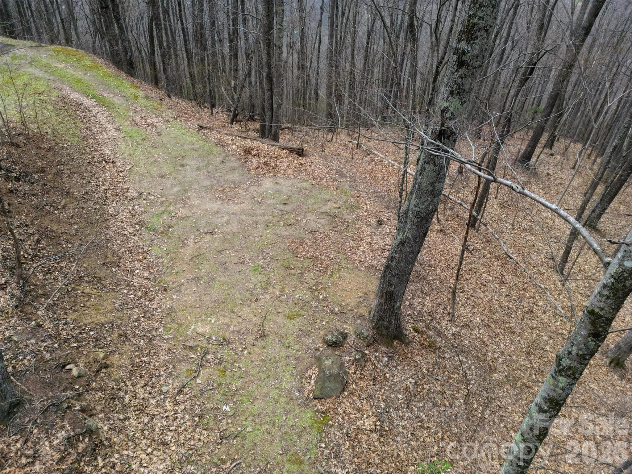 Lot at Waynesville, photo 6 of 28
