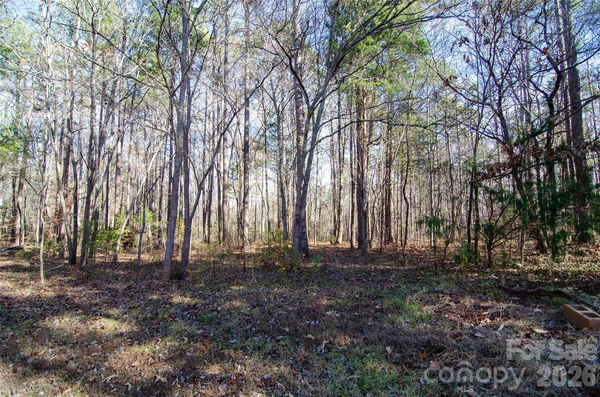 Single Family Residence at 1415 Smith Woods Lane, Hickory Grove, photo 4 of 16