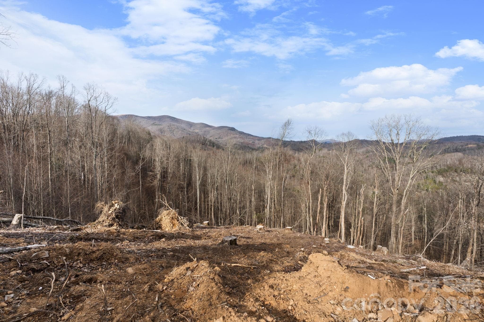 TBD Pinnacle View