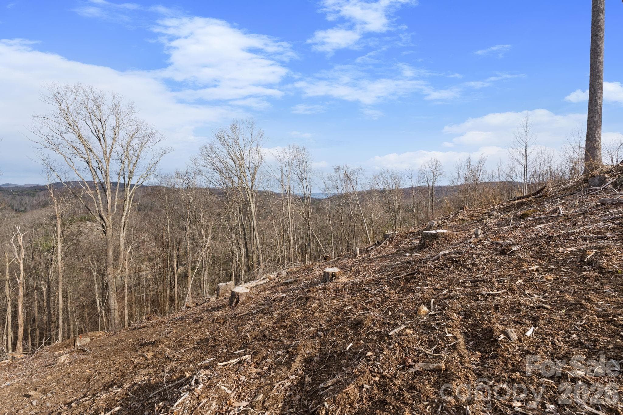 Acreage at TBD Pinnacle View, Elk Park, photo 3 of 15