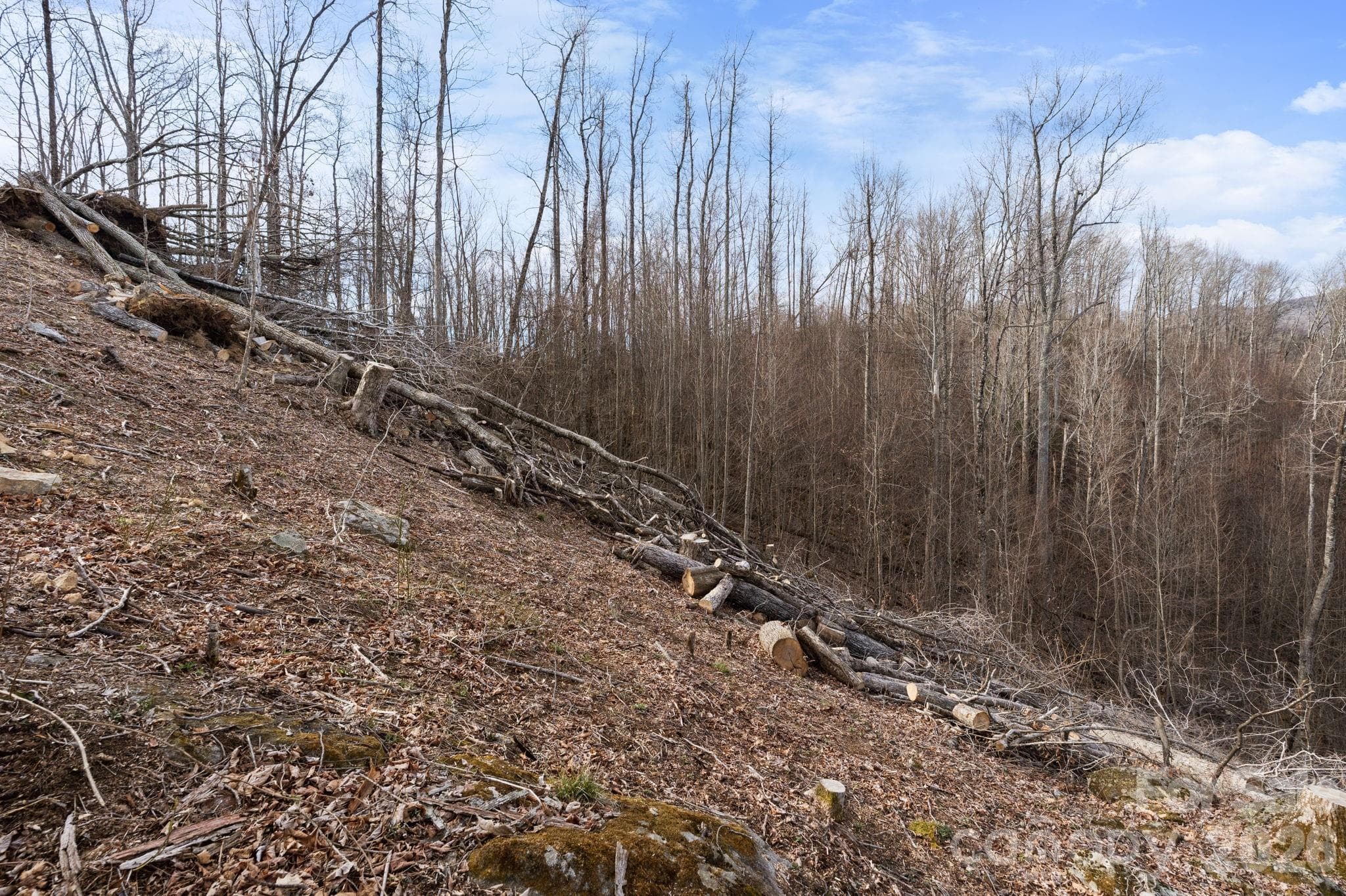 Acreage at TBD Pinnacle View, Elk Park, photo 4 of 15