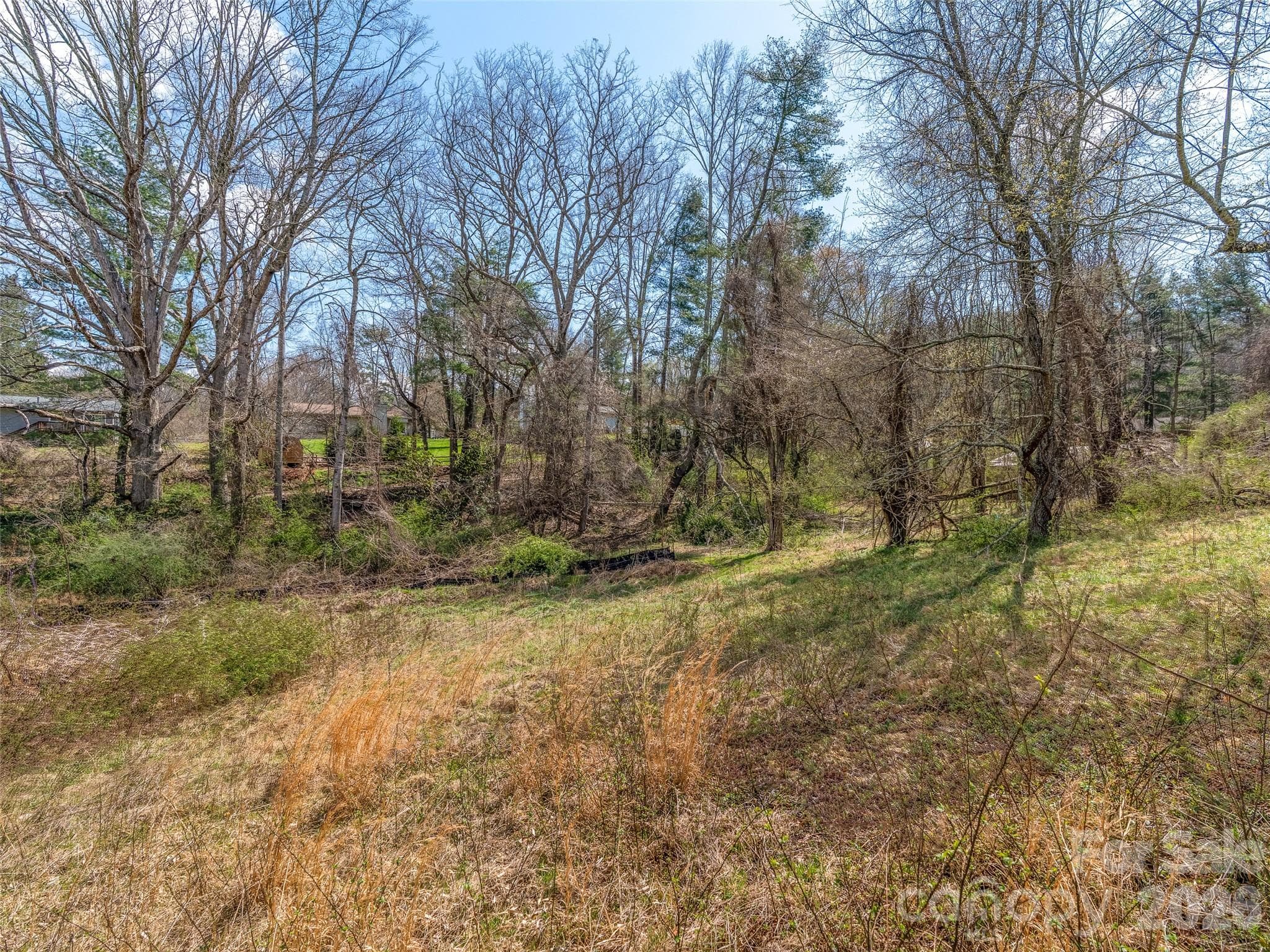 Lot facing the street where a driveway would enter the property - Asheville