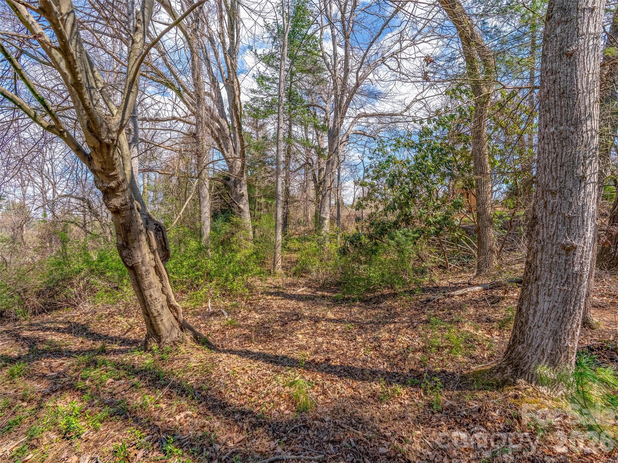 Lot facing Overlook Circle - Asheville