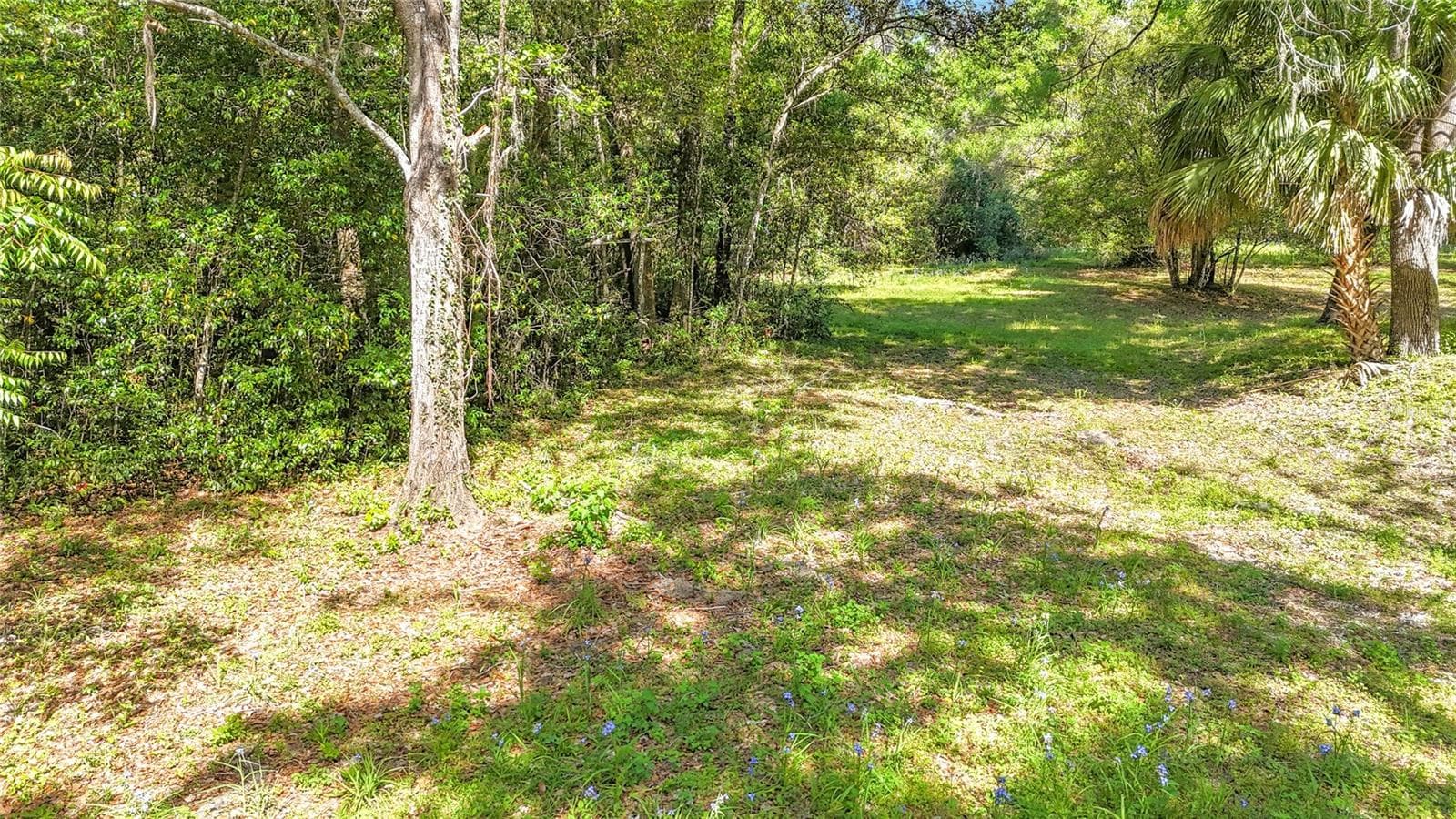 Land at Lot 001 NW 37TH DR, GAINESVILLE, photo 7 of 15