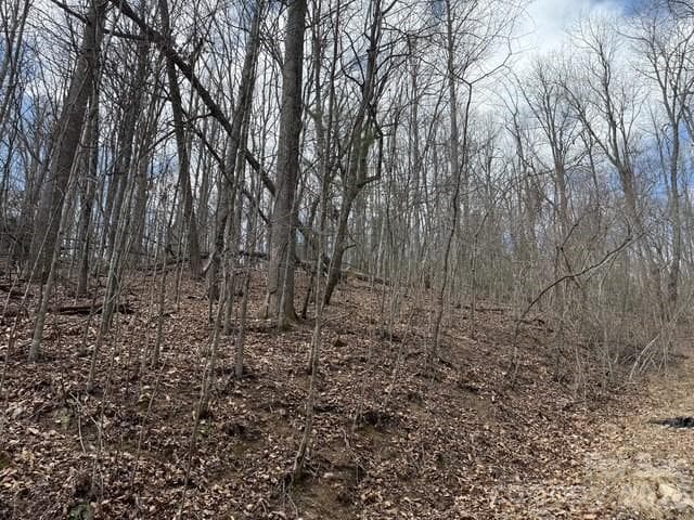 Lot at Hendersonville, photo 2 of 9