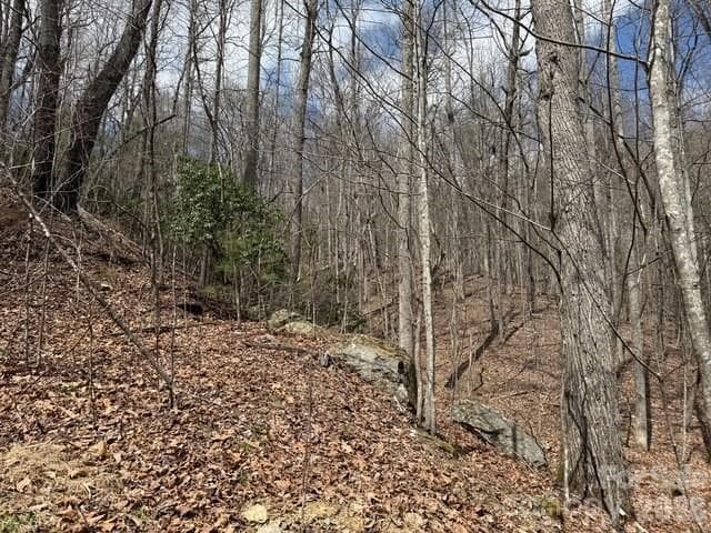 Lot at Hendersonville, photo 3 of 9