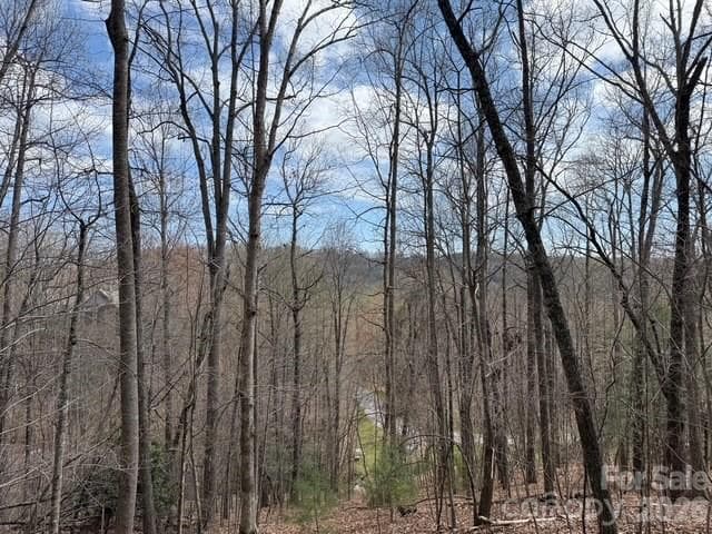 Lot at Hendersonville, photo 6 of 9