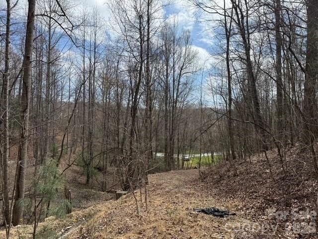 Lot at Hendersonville, photo 7 of 9