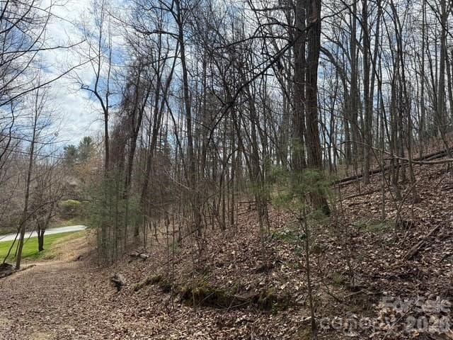 Lot at Hendersonville, photo 8 of 9
