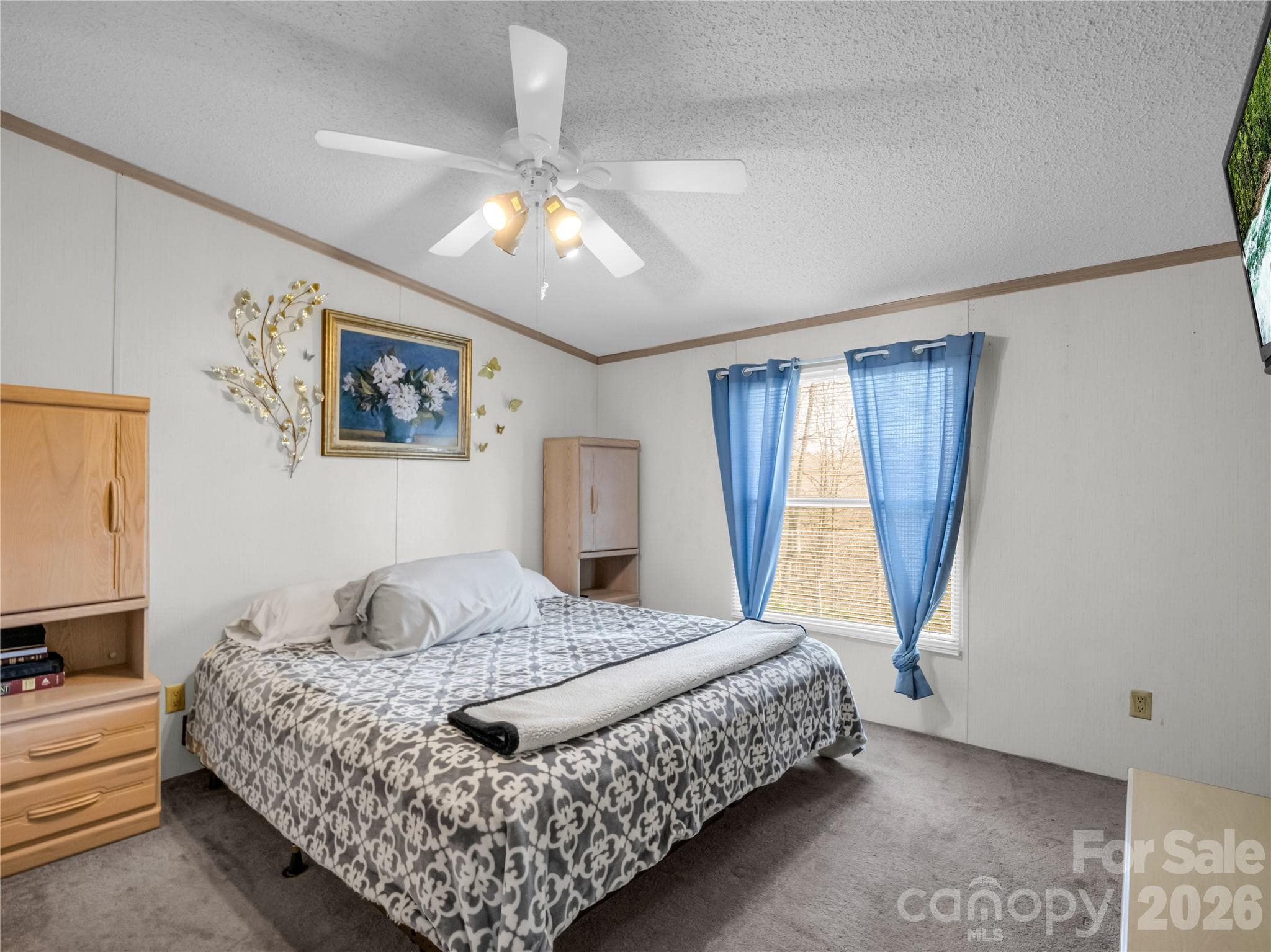 Single Family Residence at 48 Laurel Cove Road, Leicester, photo 24 of 45