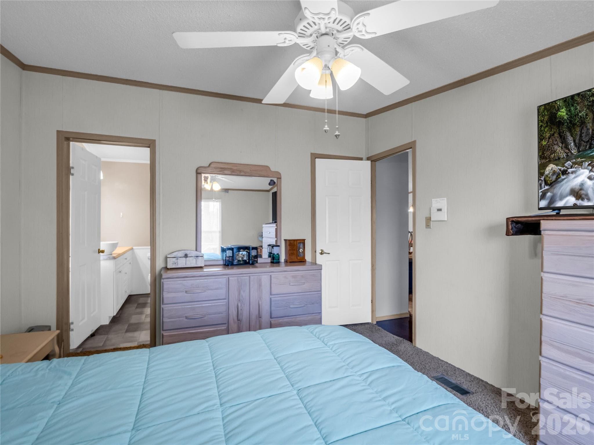Single Family Residence at 48 Laurel Cove Road, Leicester, photo 27 of 45