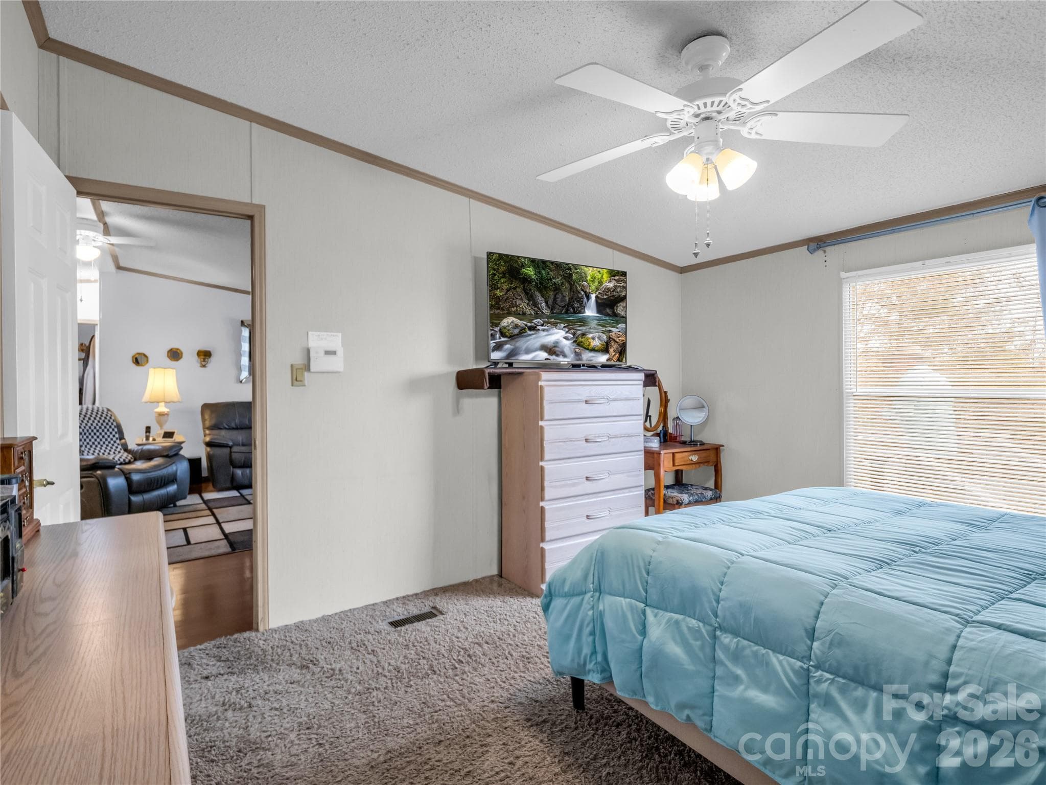 Single Family Residence at 48 Laurel Cove Road, Leicester, photo 28 of 45