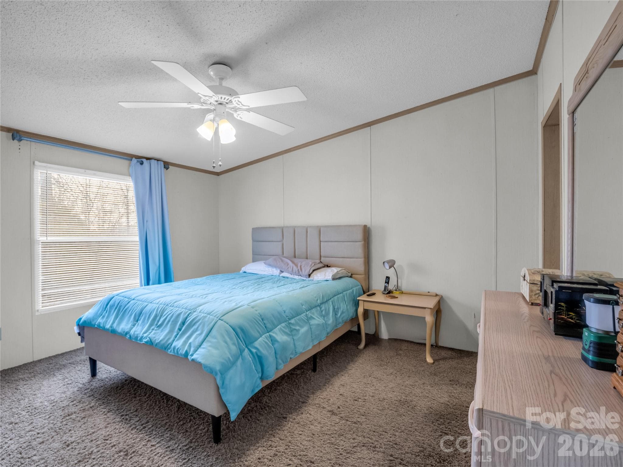 Single Family Residence at 48 Laurel Cove Road, Leicester, photo 29 of 45