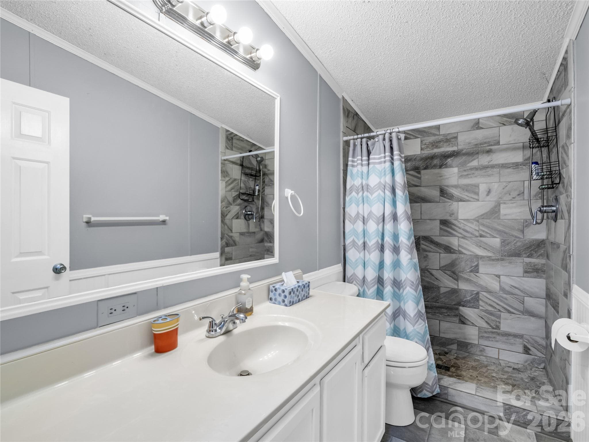 Single Family Residence at 48 Laurel Cove Road, Leicester, photo 32 of 45
