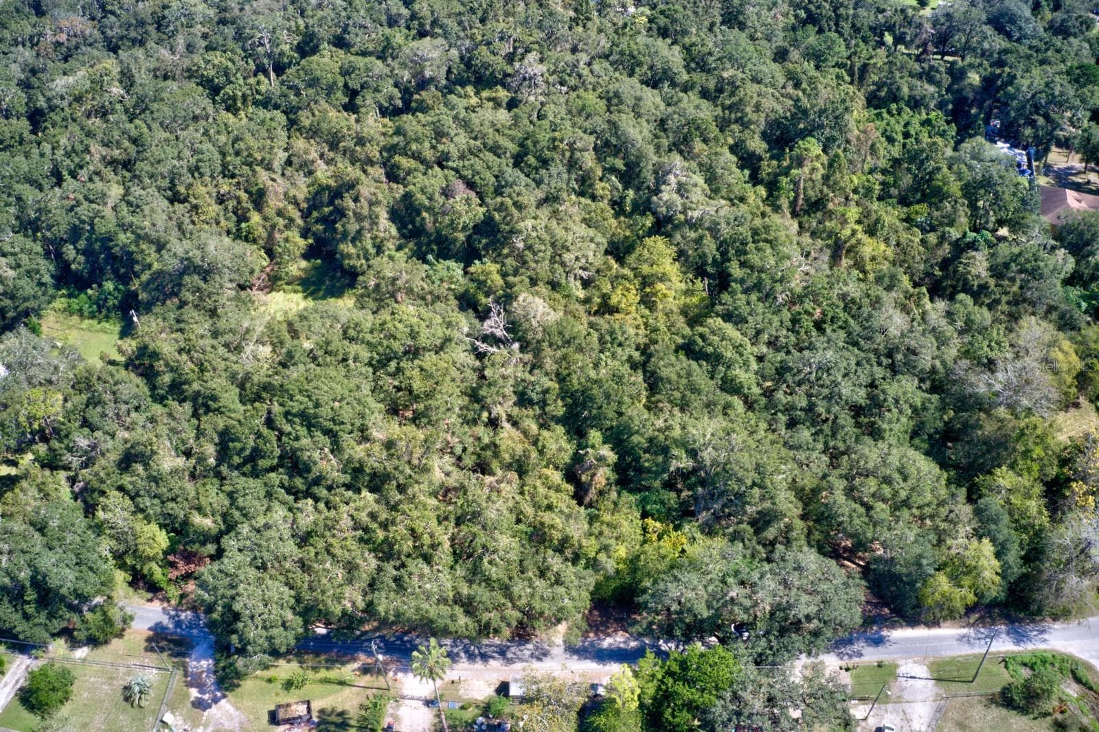 Land at 5005 SW 63RD BLVD, GAINESVILLE, photo 9 of 11