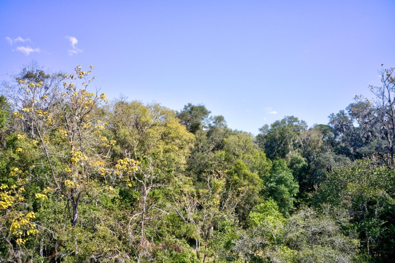 Land at 5005 SW 63RD BLVD, GAINESVILLE, photo 11 of 11