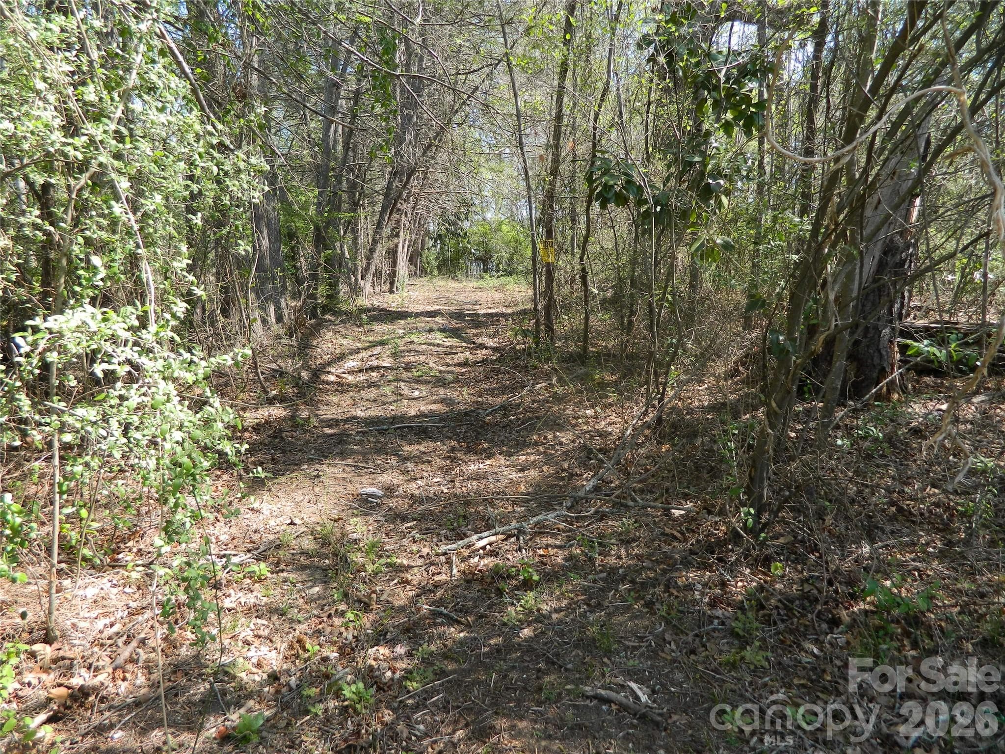 Acreage at Lenoir, photo 2 of 10