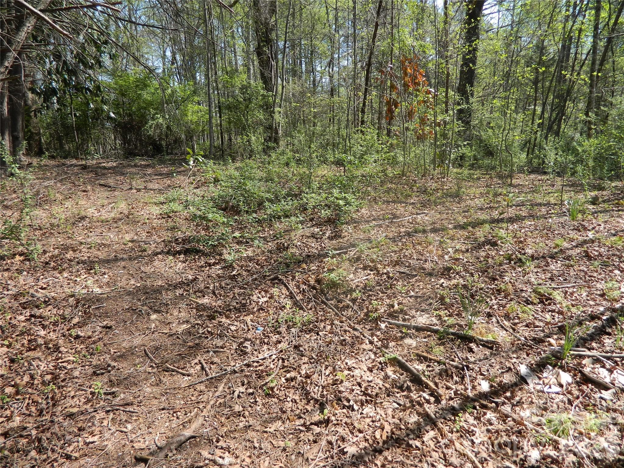 Acreage at Lenoir, photo 3 of 10