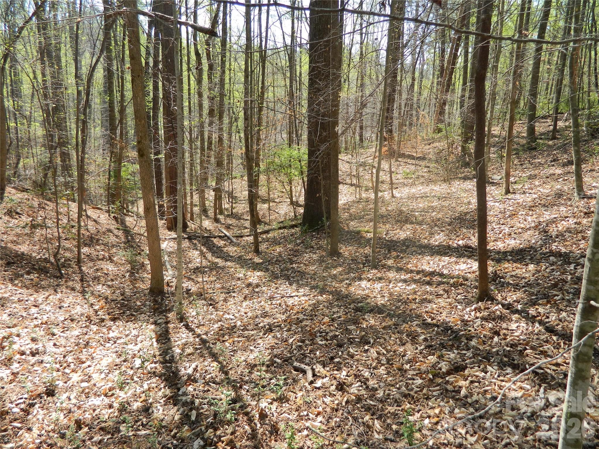 Acreage at Lenoir, photo 5 of 10