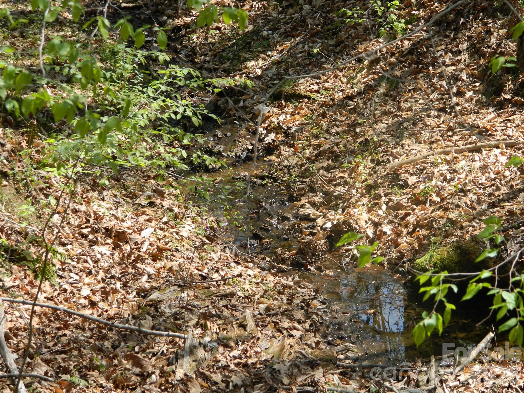Acreage at Lenoir, photo 6 of 10
