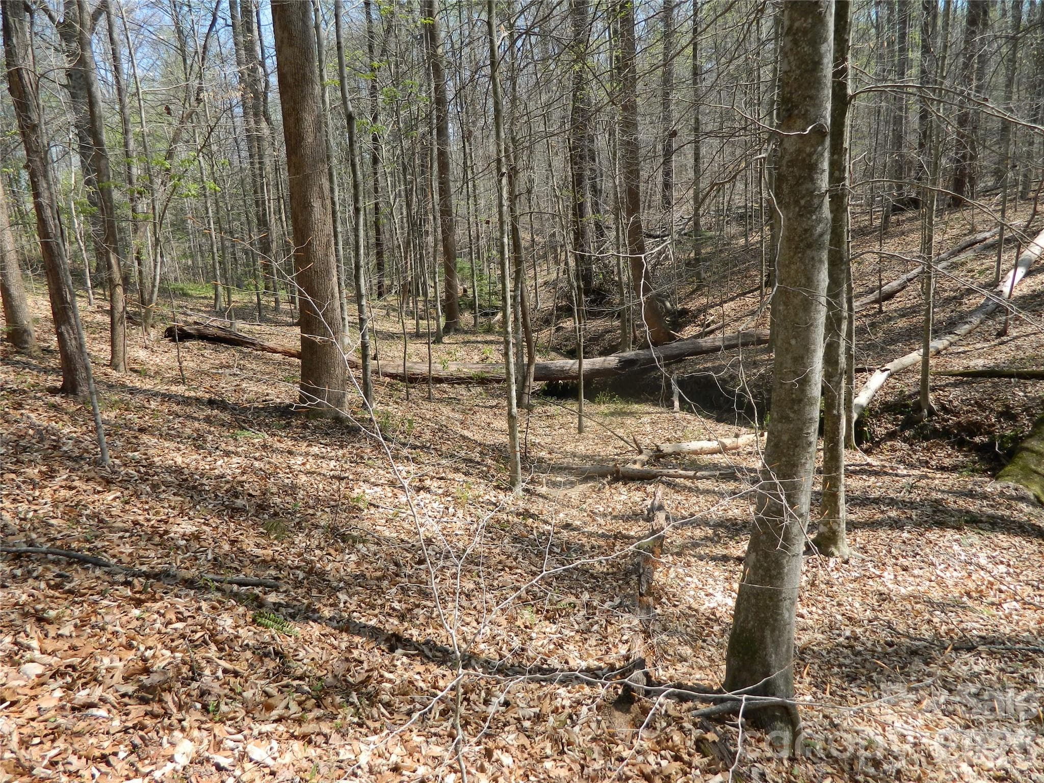 Acreage at Lenoir, photo 7 of 10