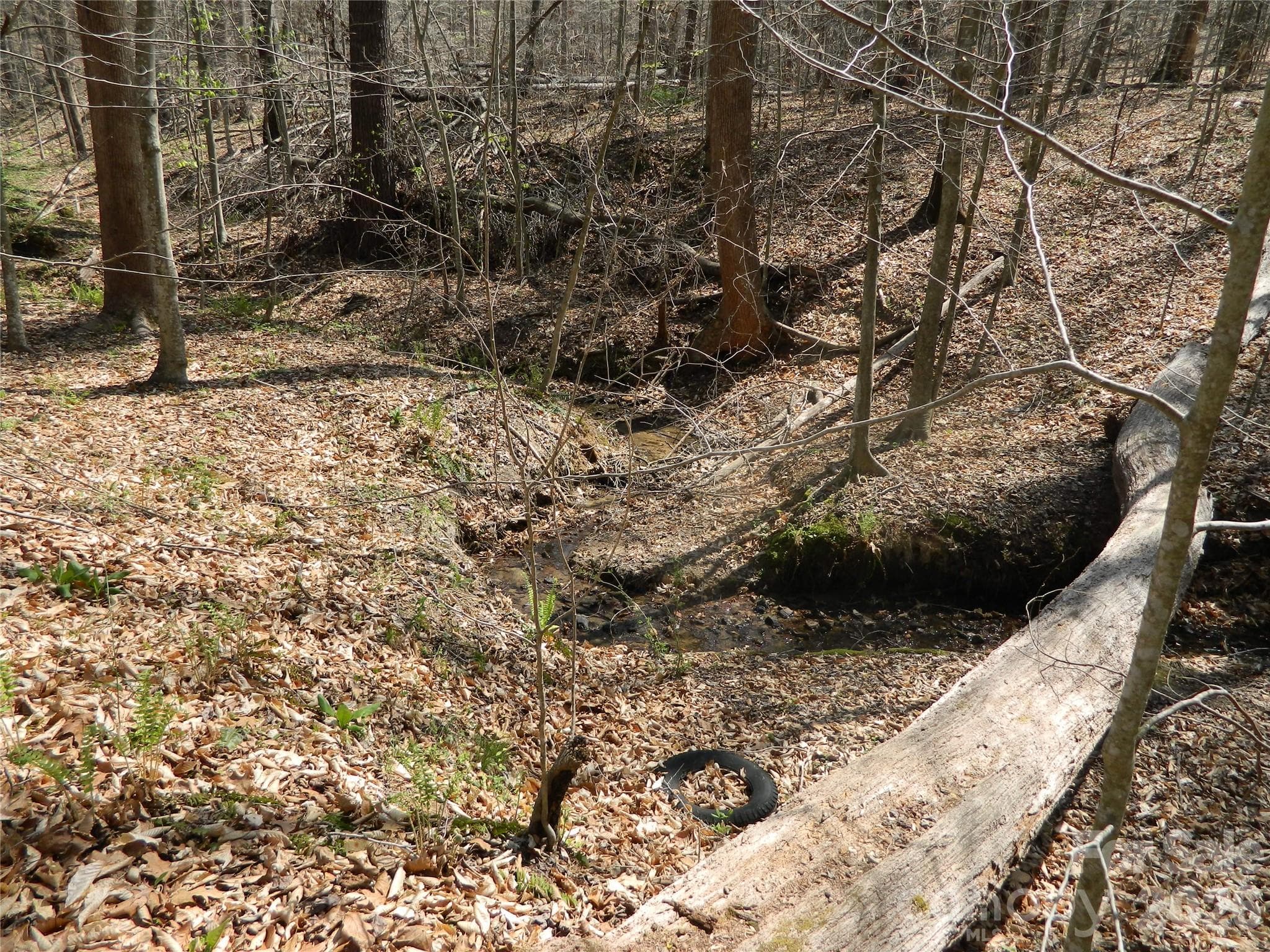 Acreage at Lenoir, photo 8 of 10