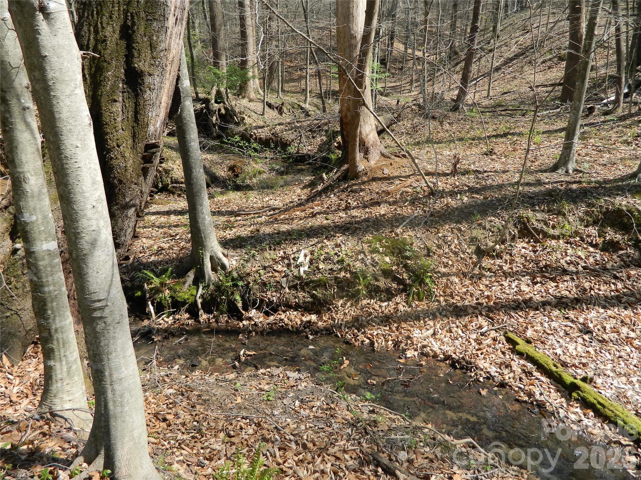 Acreage at Lenoir, photo 9 of 10