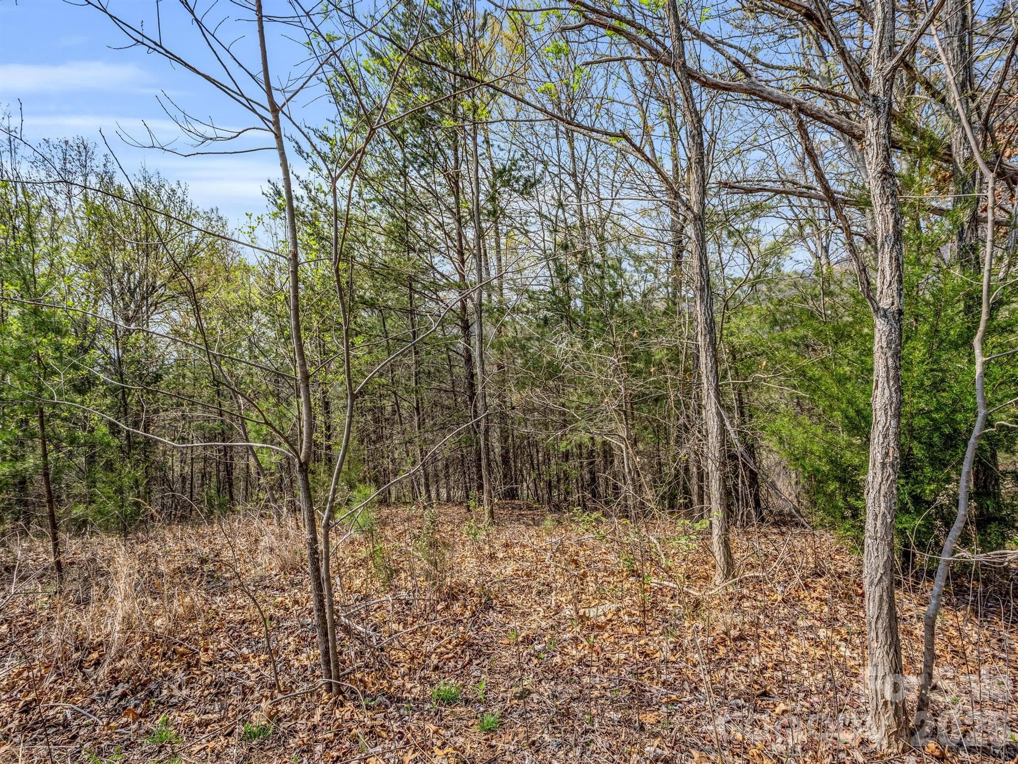 Lot at Mill Spring, photo 7 of 35