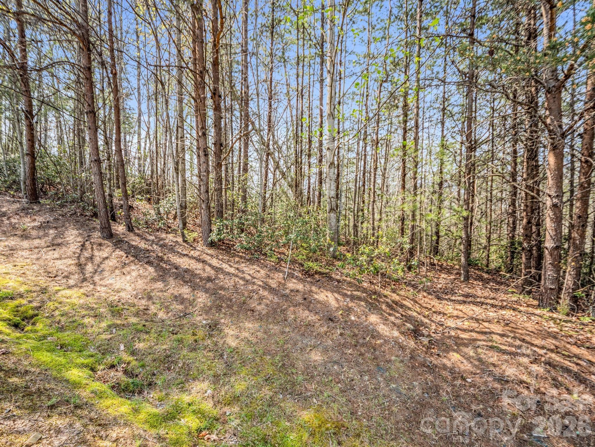 Lot at Mill Spring, photo 8 of 35