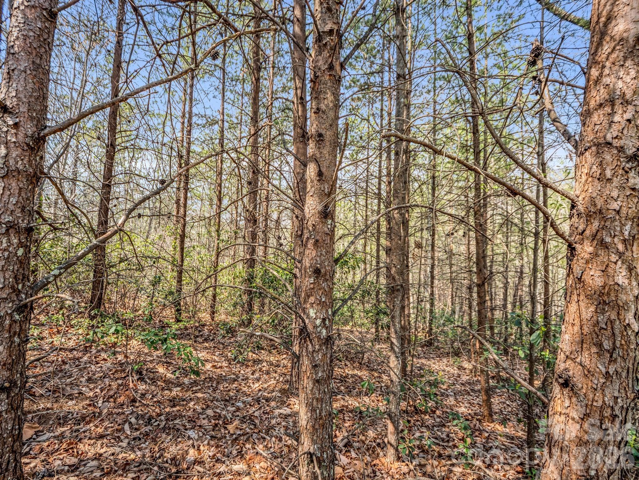 Lot at Mill Spring, photo 9 of 35