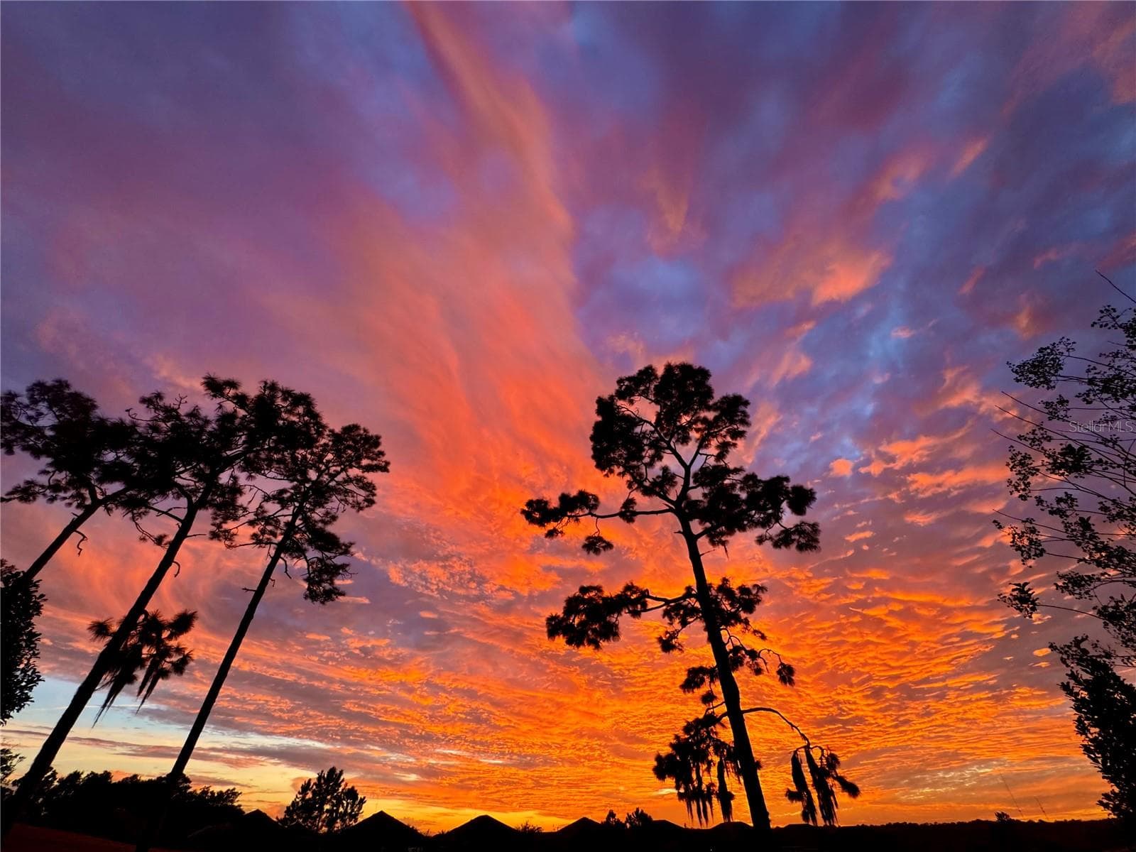 back yard view - 262 NORTHCOTE CT, DELAND