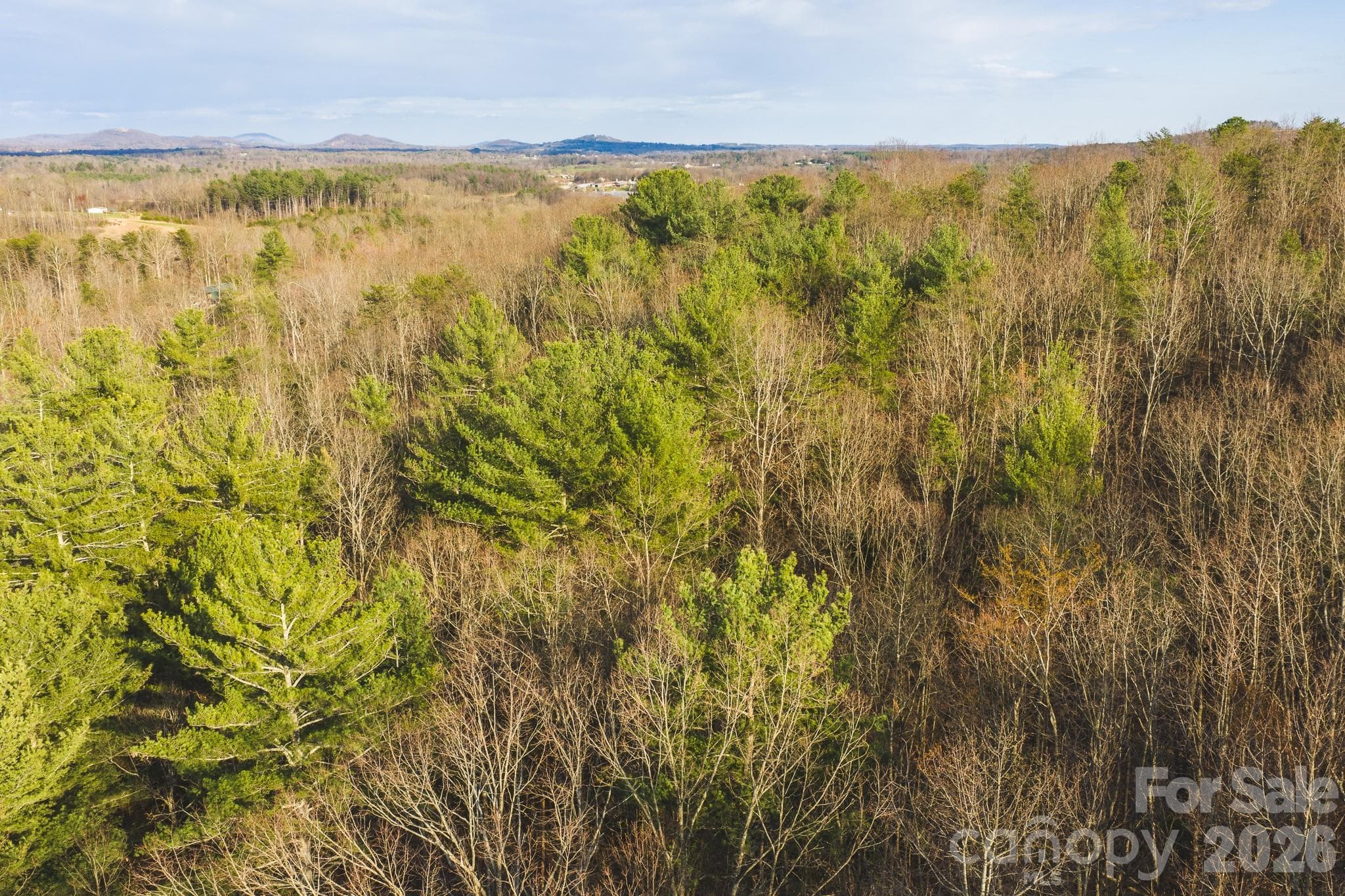 Acreage at Taylorsville, photo 6 of 20
