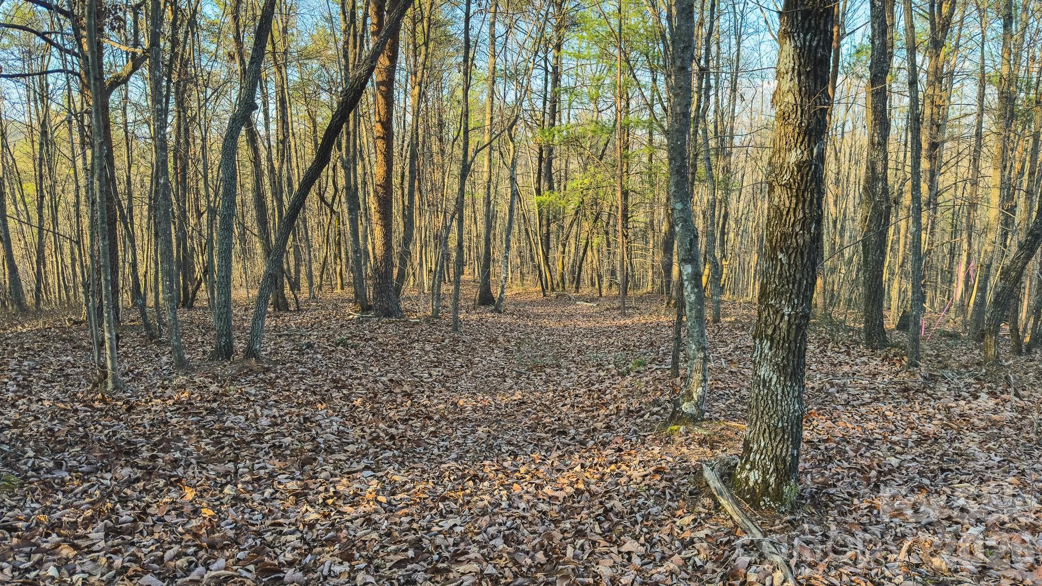 Acreage at Taylorsville, photo 19 of 20