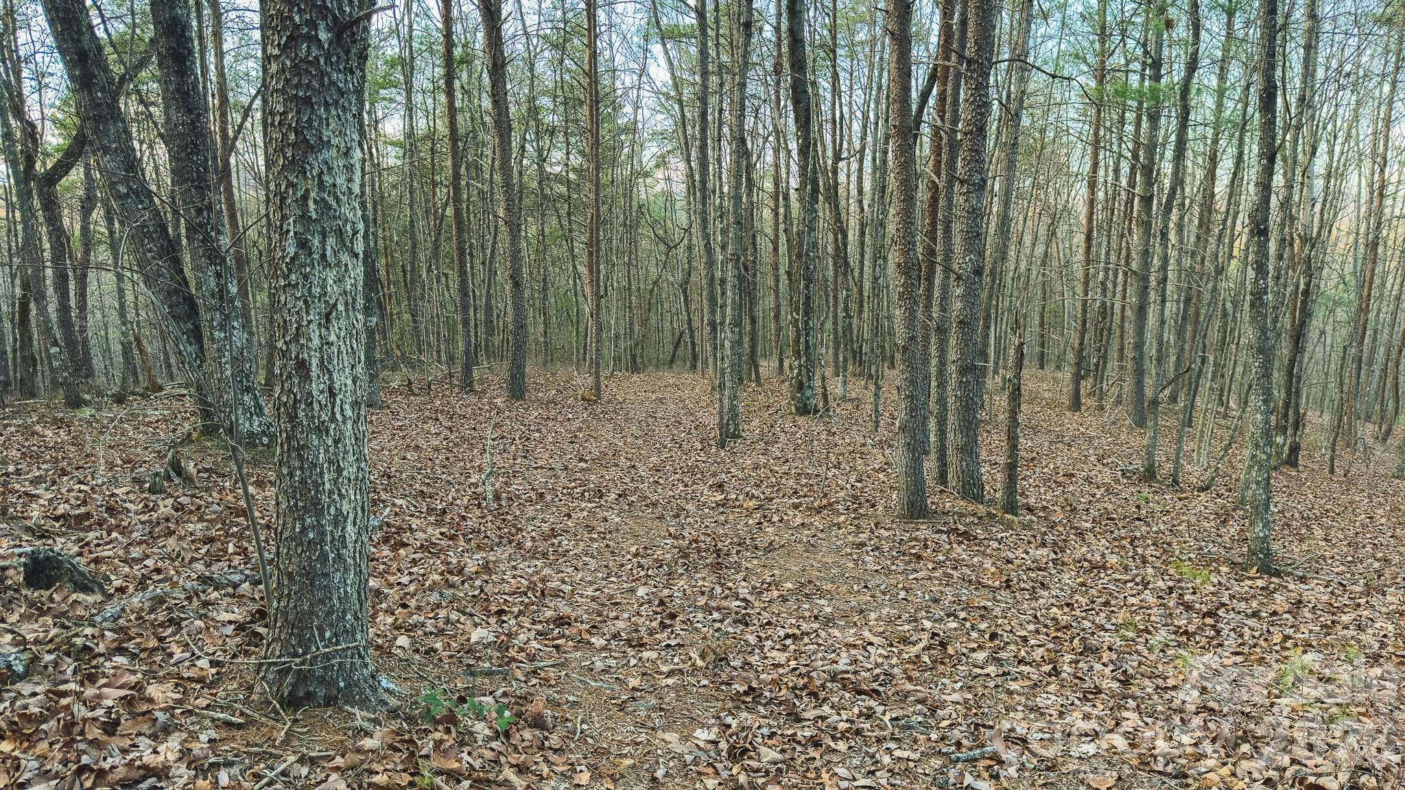 Acreage at Taylorsville, photo 20 of 20