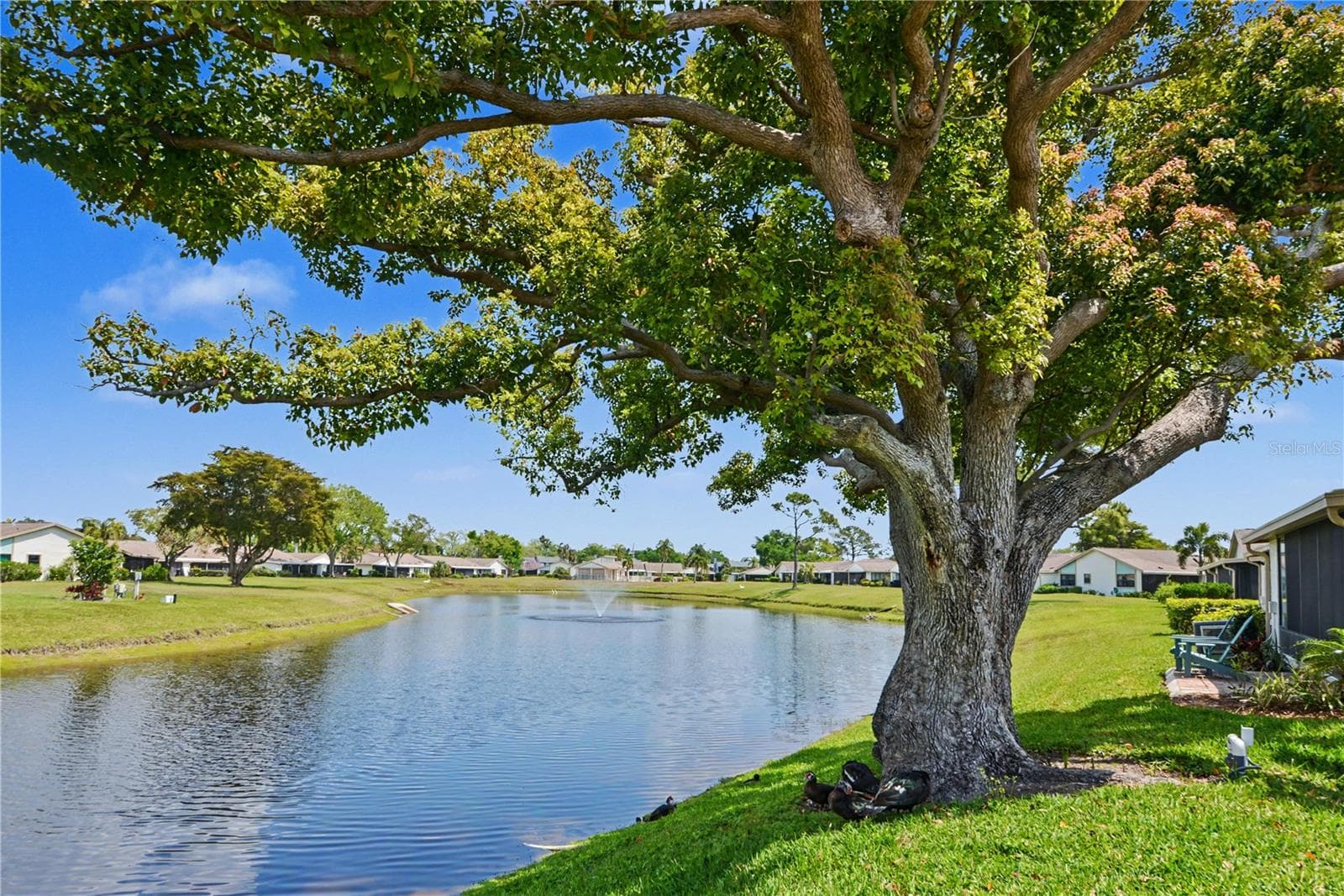 What a beautiful View - 6220 29TH AVE W #6220, BRADENTON