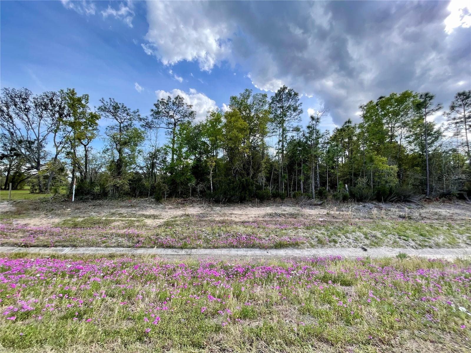 Land at TBD NE HIGHWAY 27 ALT, WILLISTON, photo 2 of 6