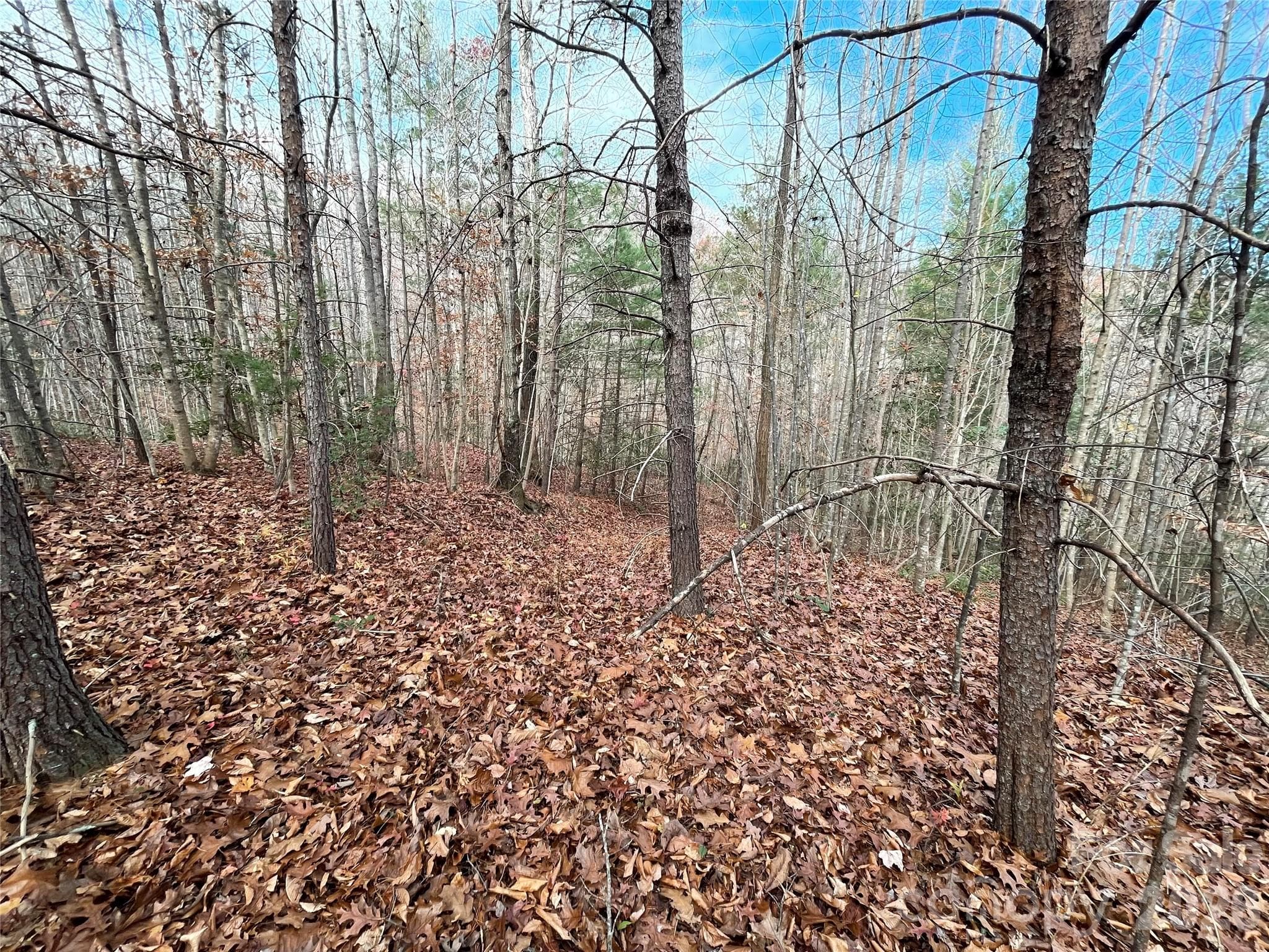 Acreage at Lenoir, photo 4 of 5