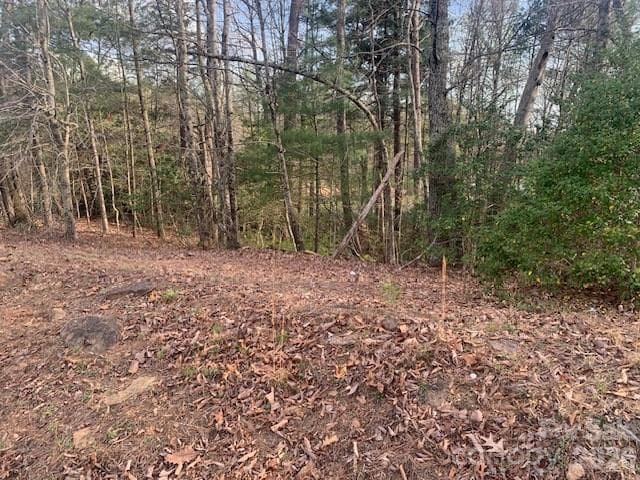 Unimproved Commercial at 1.0AC HOLBERT COVE Road, Saluda, photo 2 of 9
