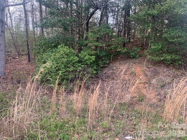 Unimproved Commercial at 1.0AC HOLBERT COVE Road, Saluda, photo 4 of 9