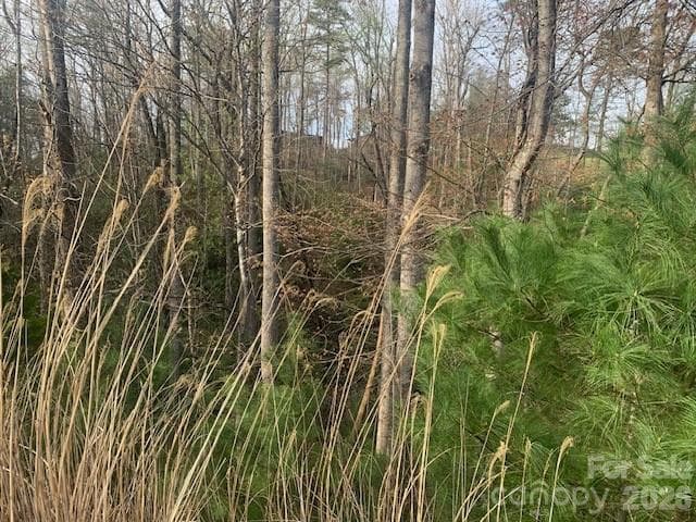 Unimproved Commercial at 1.0AC HOLBERT COVE Road, Saluda, photo 8 of 9