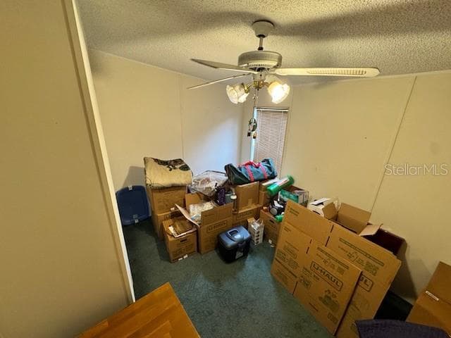 Third Bedroom - 19231 NW HIGHWAY 335, WILLISTON