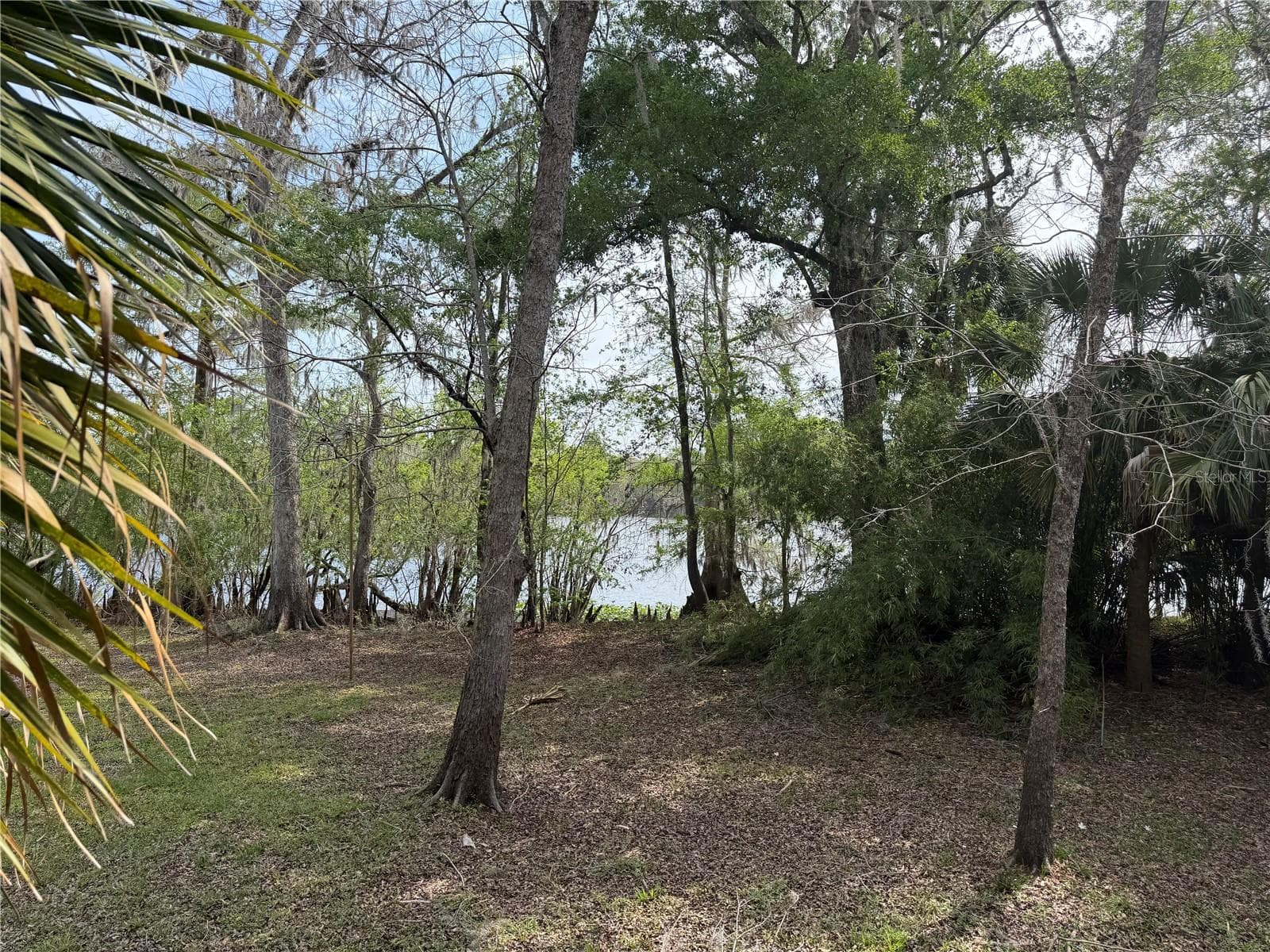 Backyard View of river! - 124 NE 824TH ST, OLD TOWN