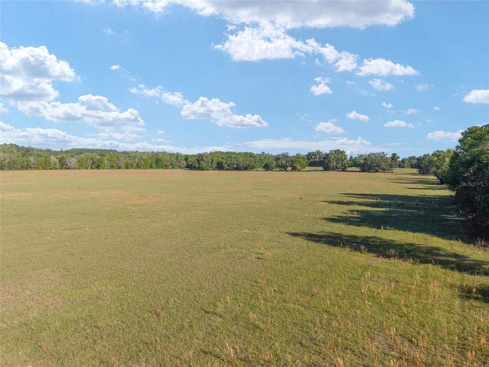 Land at 6405 NW 165TH ST, REDDICK, photo 18 of 20