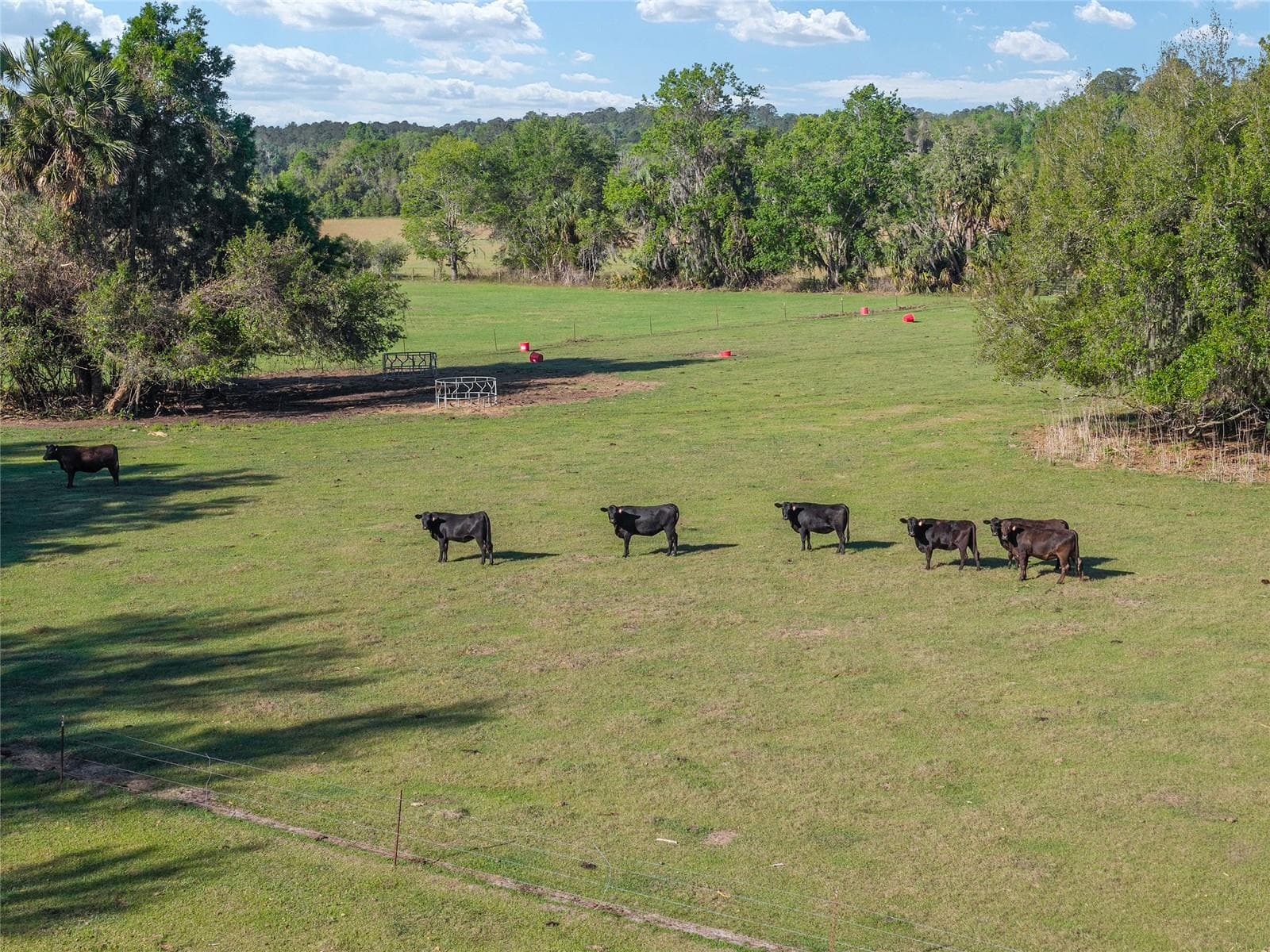 Land at 6405 NW 165TH ST, REDDICK, photo 19 of 20