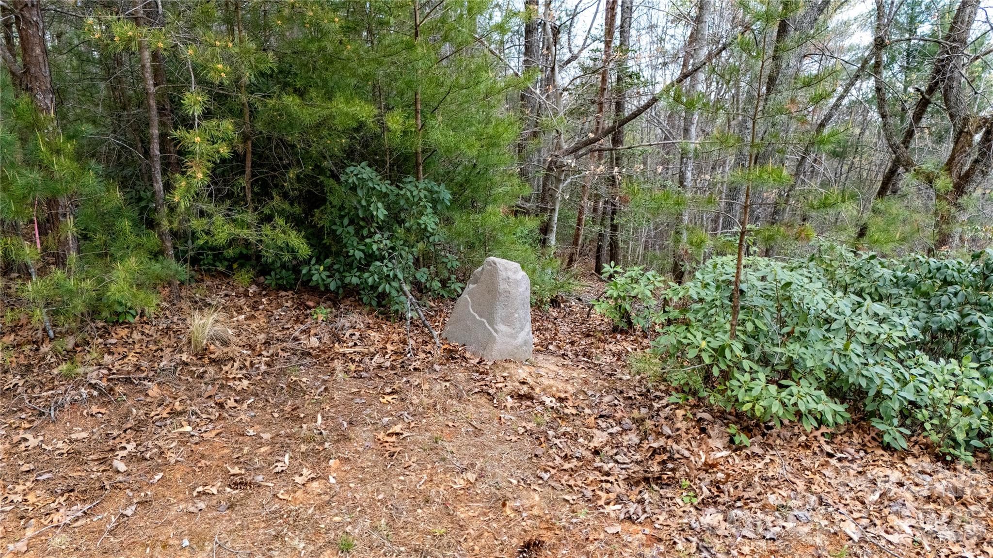 Lot at Nebo, photo 3 of 14