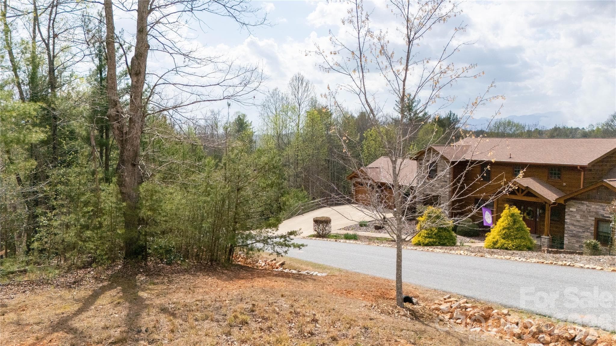 Lot at Nebo, photo 12 of 14