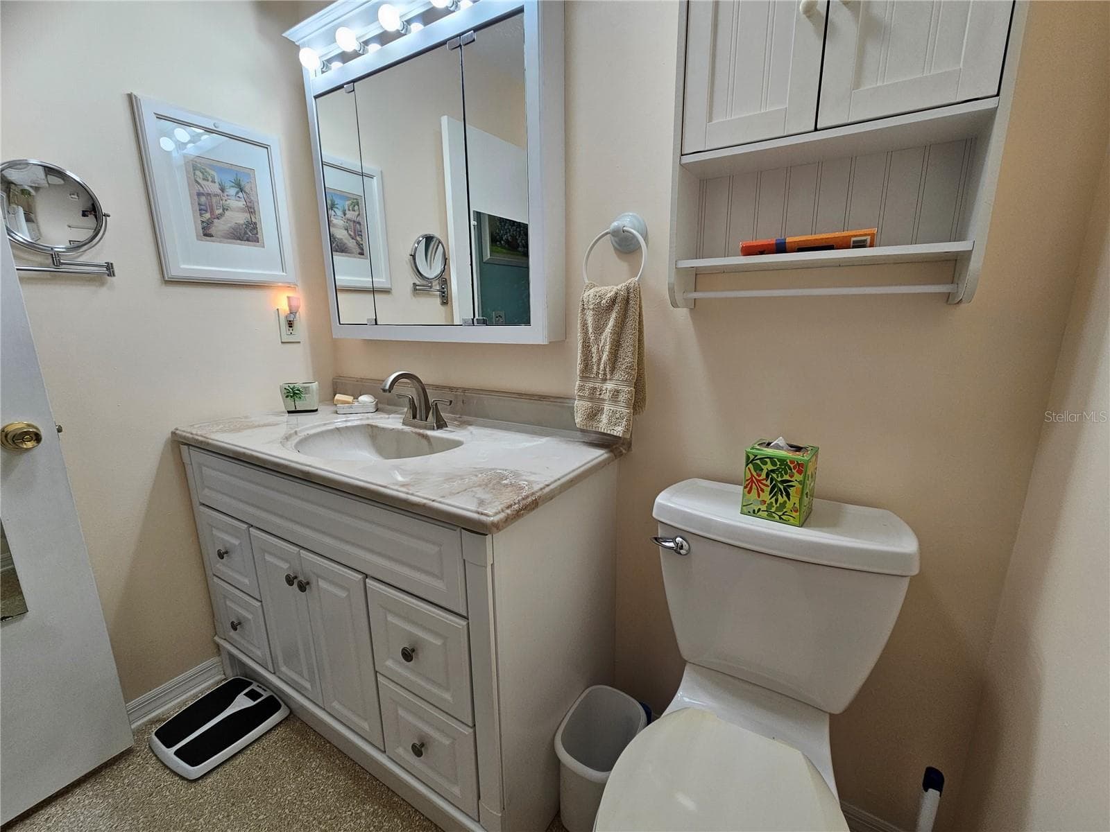 Primary Bathroom - 1905 CANTERBURY LN #E-9, SUN CITY CENTER
