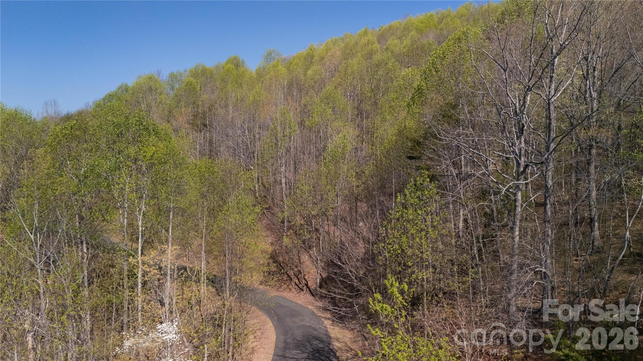 Lot at TBD Owls Ridge Road, Bostic, photo 4 of 14